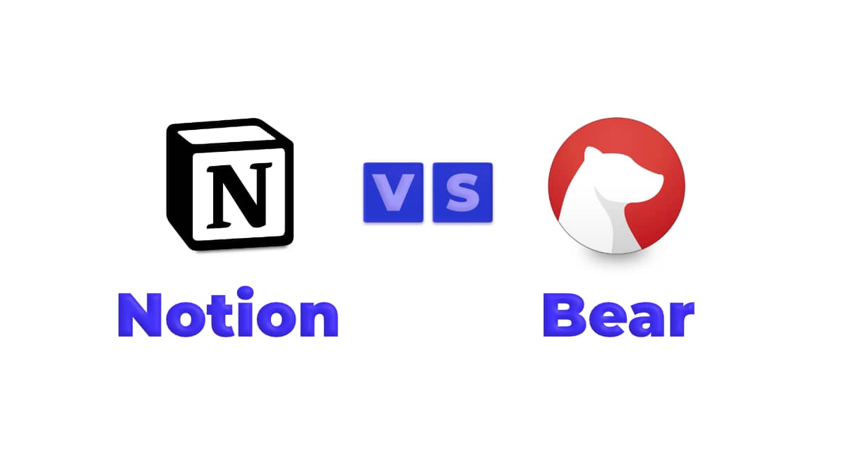notion and bear