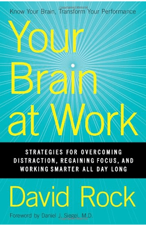 "brain at work David Rock "